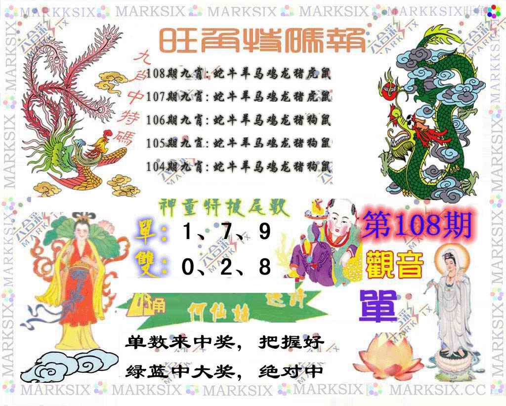 九肖中特
